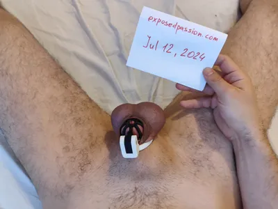 Verification