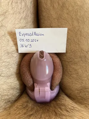 Verification