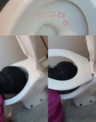 Kiss the toilet