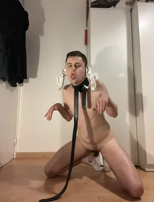Am I a good dog?