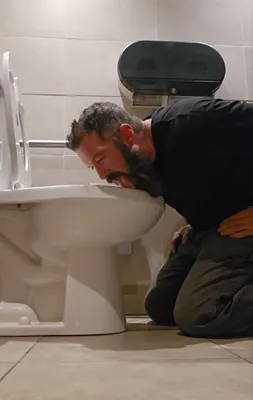 Toilet fag