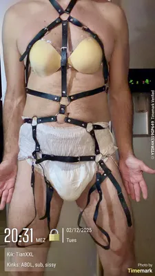 make me your toy
