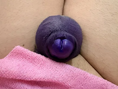 Purple Jelly Bean