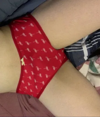 Sissy flamingo panties