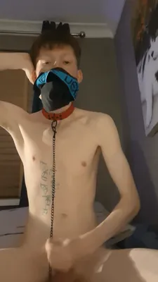Pet faggot