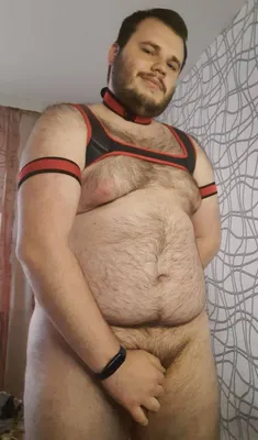 shy bear