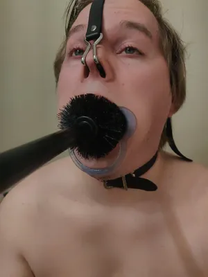 Nasty toilet brush pig