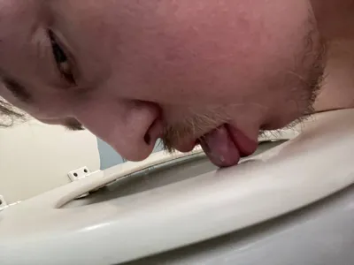 Toilet Pig
