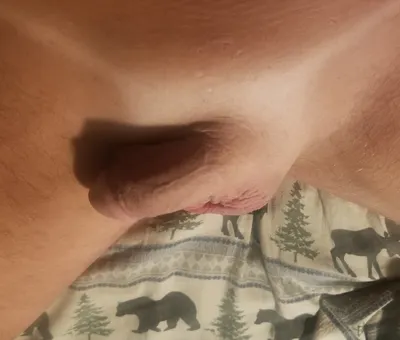 Limp bald little penis