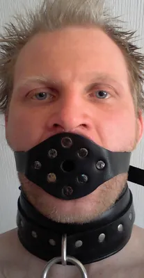 Gagged and collared