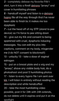 Detrans Ext game - make me a woman again