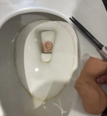 to a future of peeing sitting down