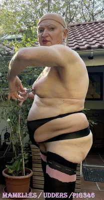 PIG#346  DYKTP // GAY FAT PIG / LOOSER