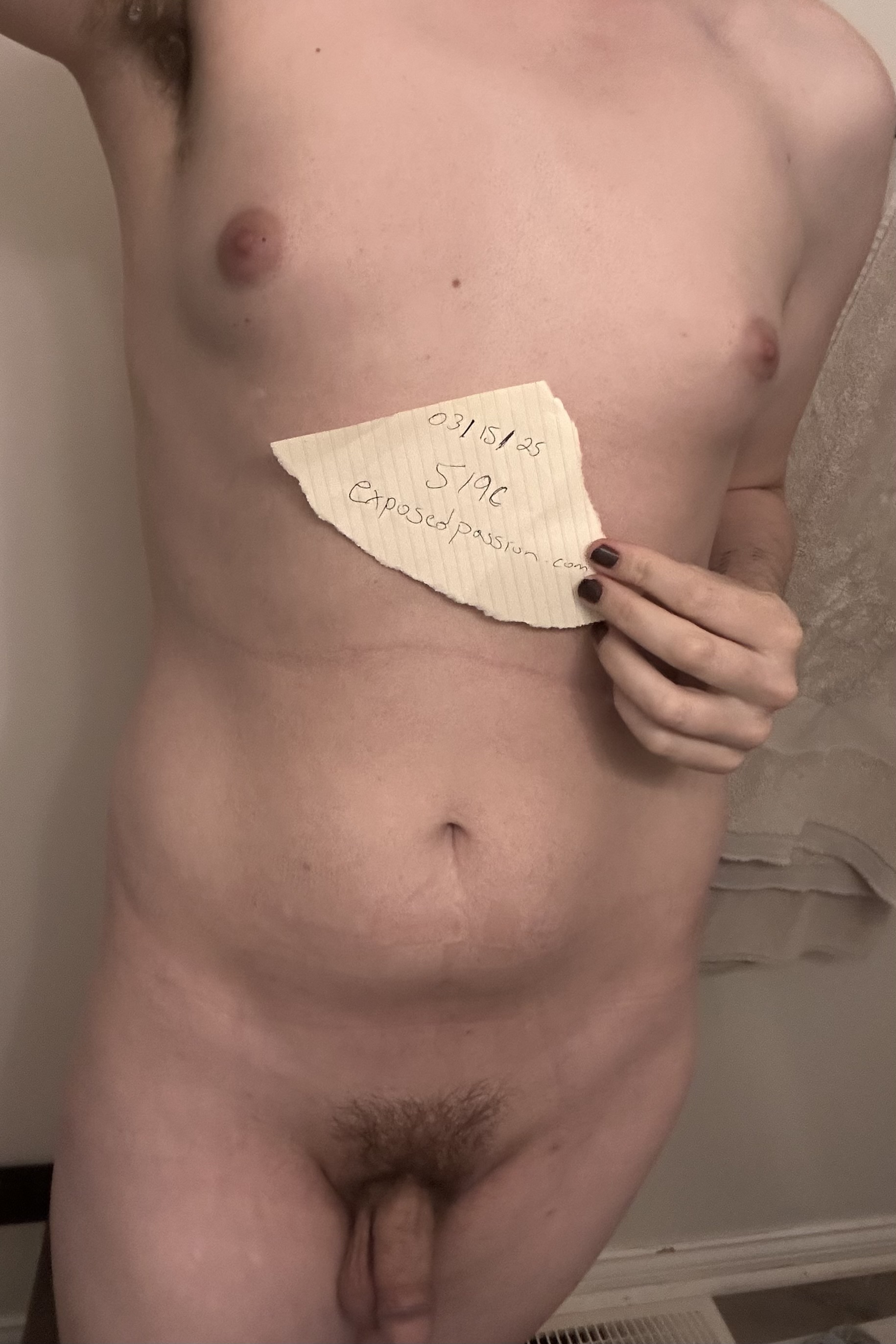 Verification 
