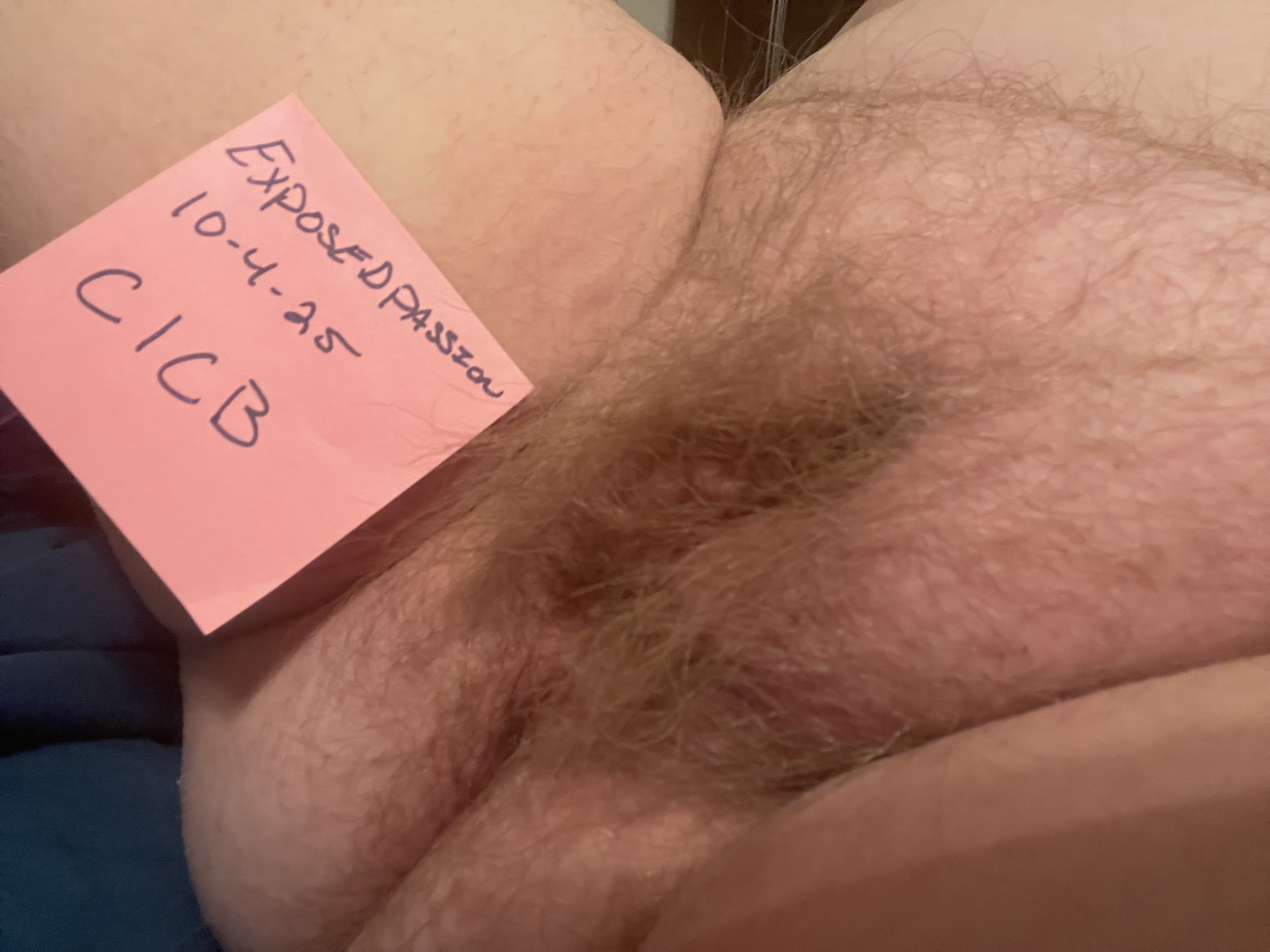 Verification 
