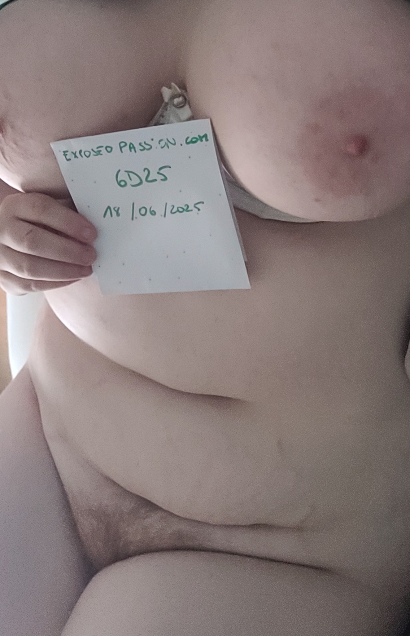Verification 