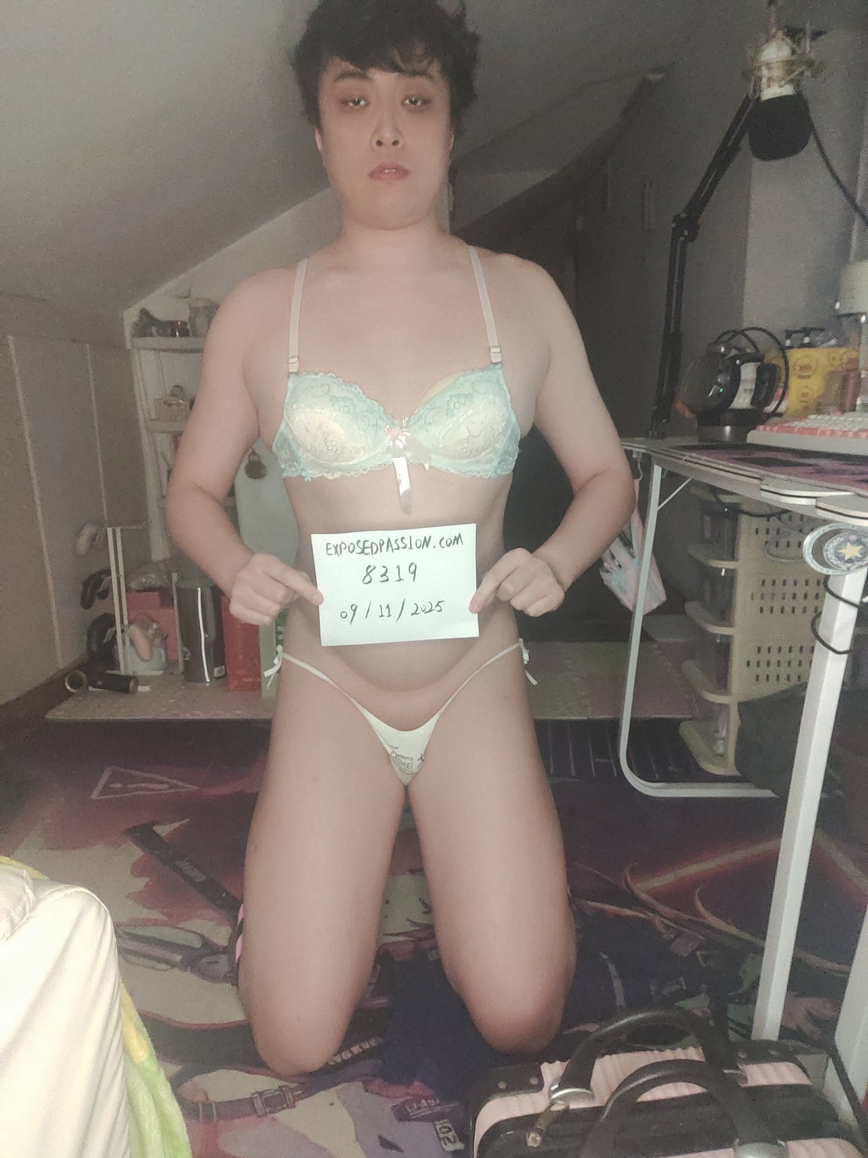 8319-verification photo