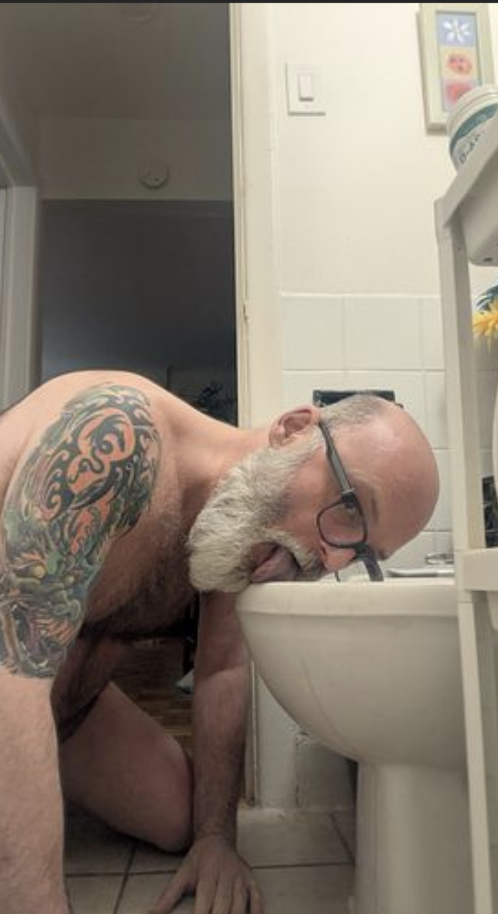 Toilet Licking Faggot