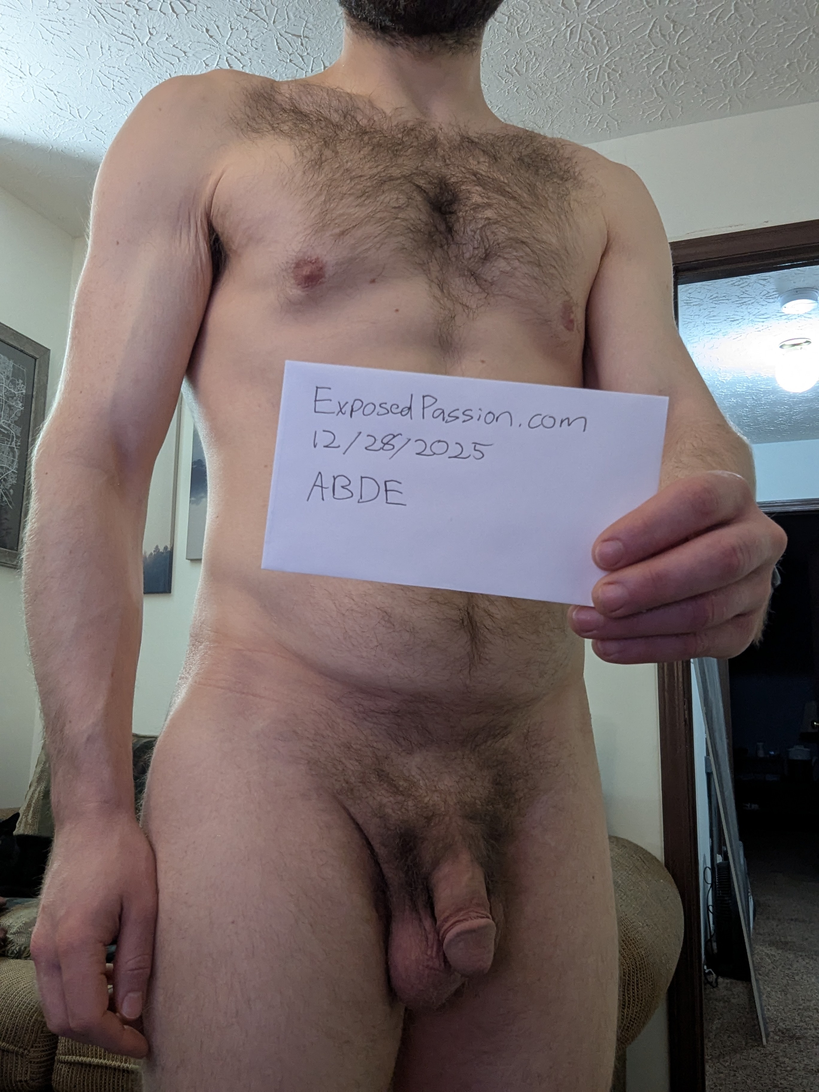 ABDE-Verification