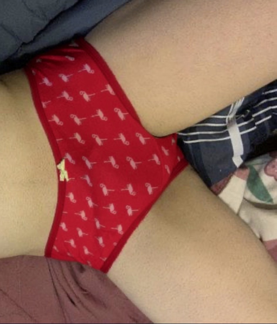 Sissy flamingo panties