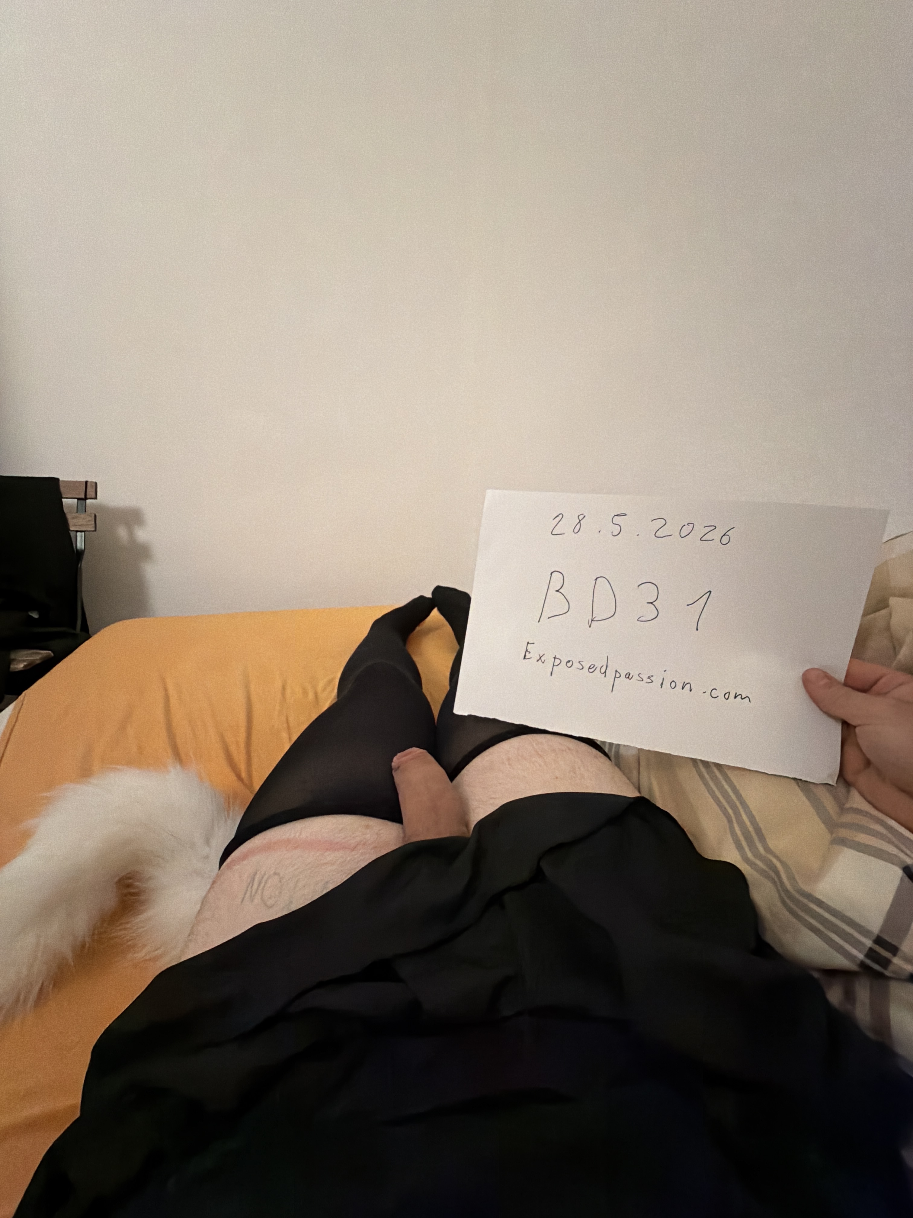 BD31-Verification Photo
