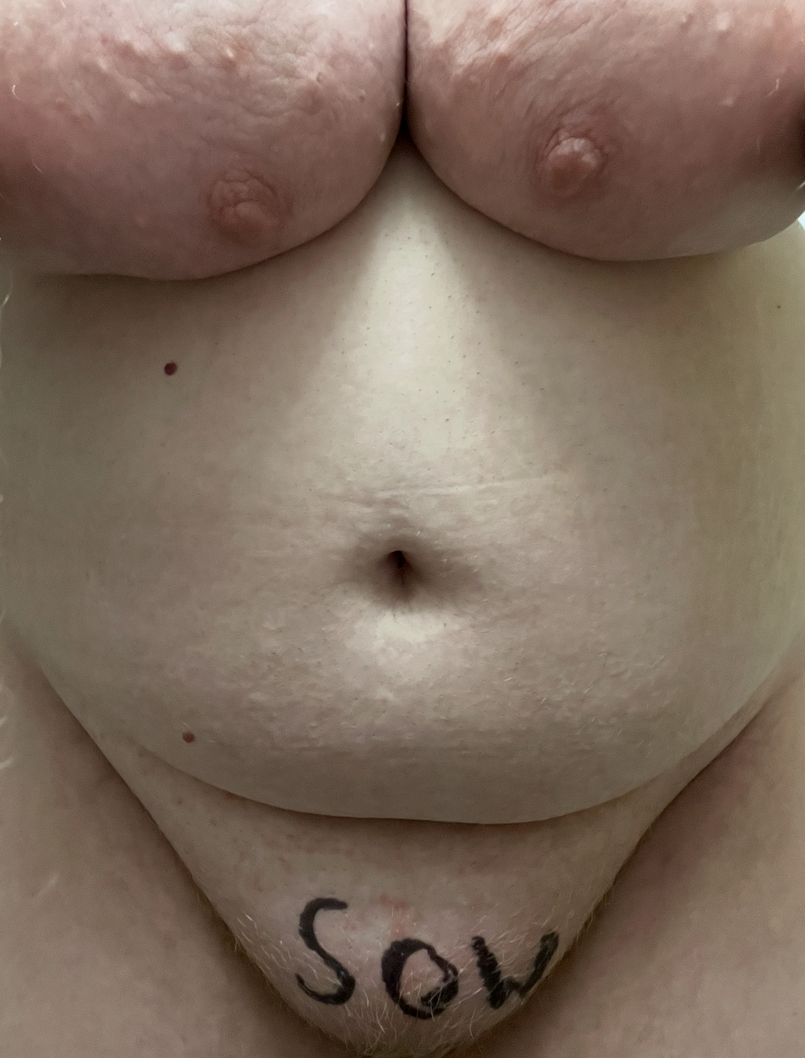 Oink oink!!