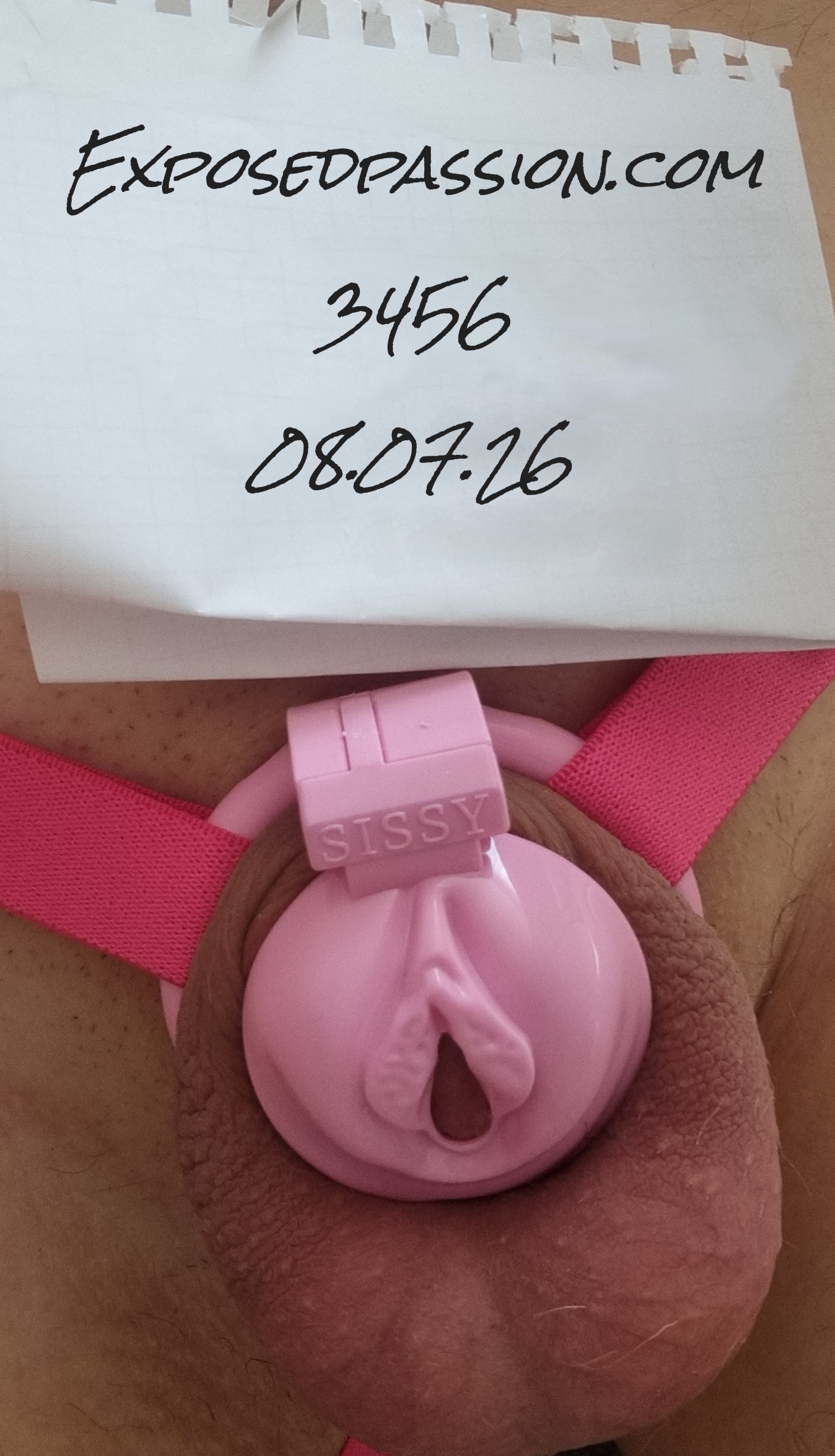 3456-Verification Photo