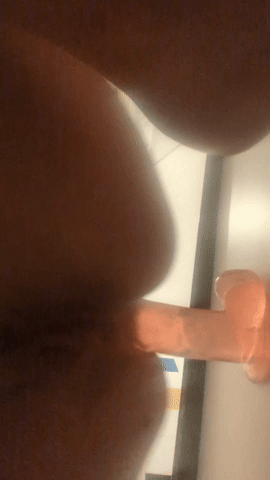 Dripping animal cunt