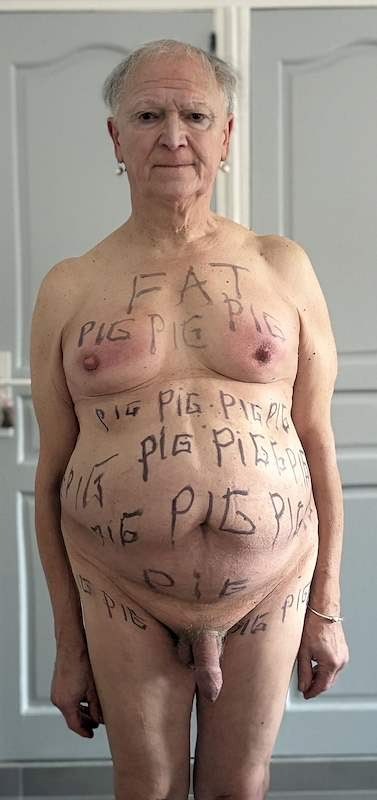 PIG#346  DYKTP // GAY FAT PIG / LOOSER