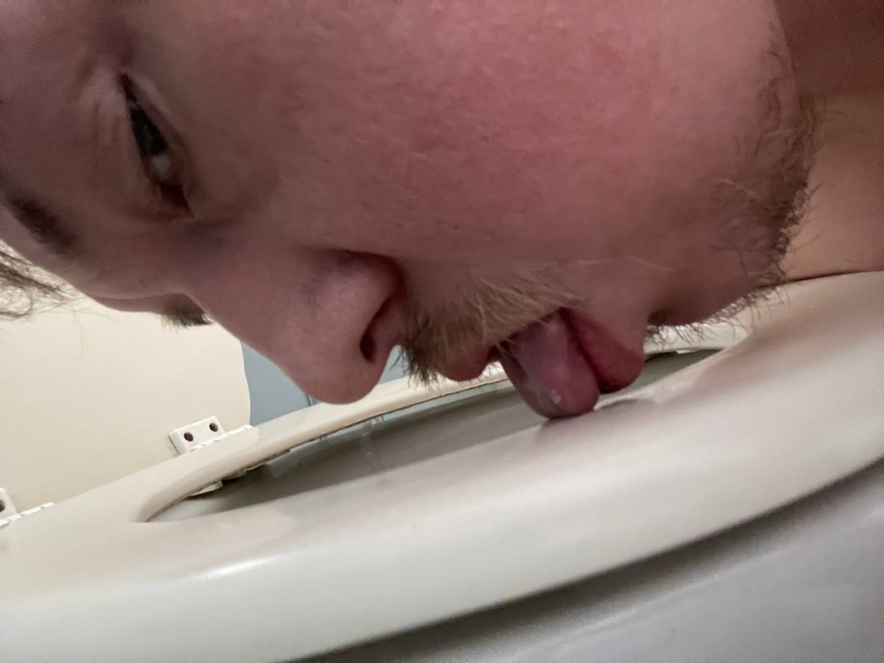 Toilet Pig