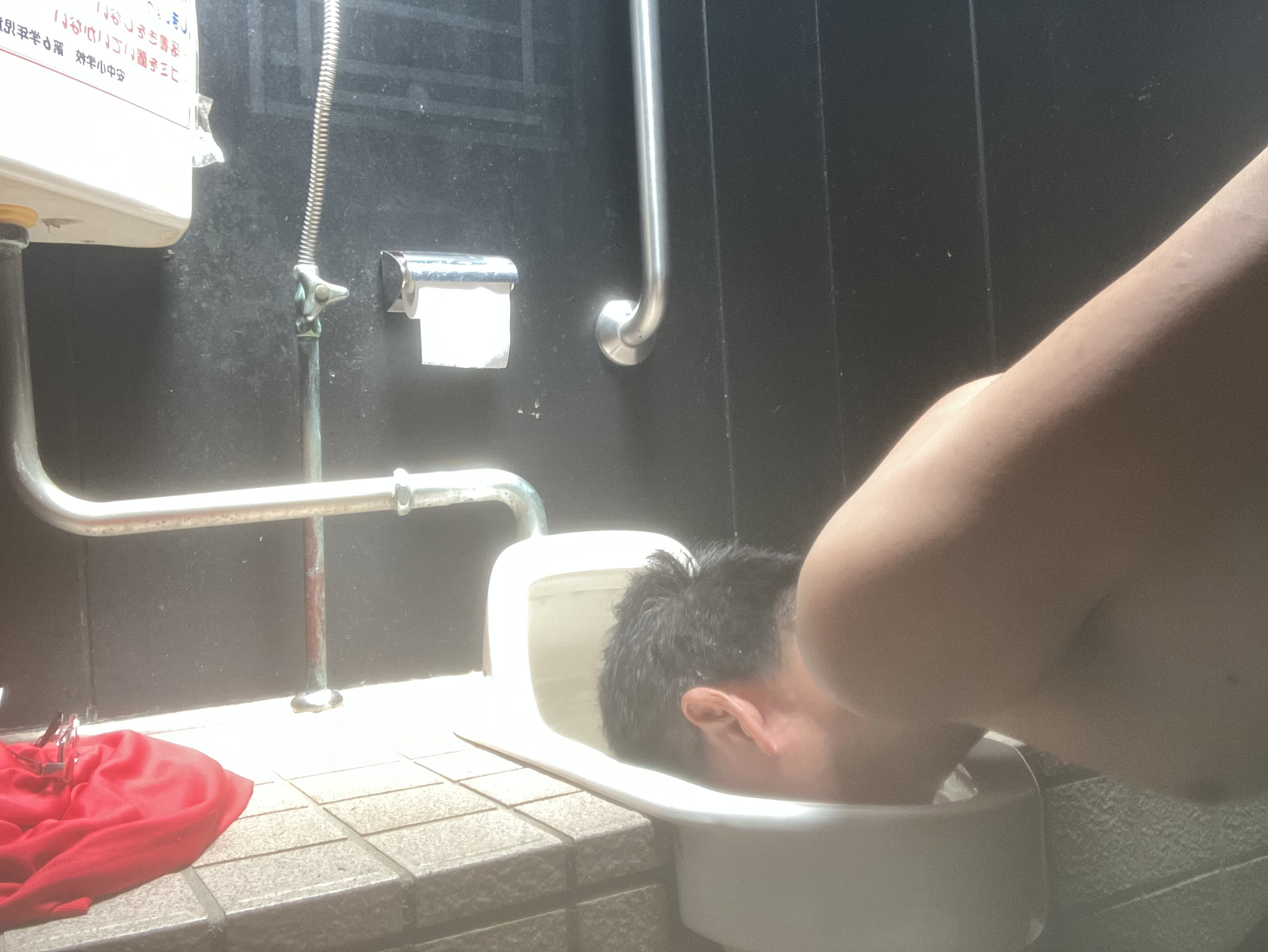 Public toilet cleaner