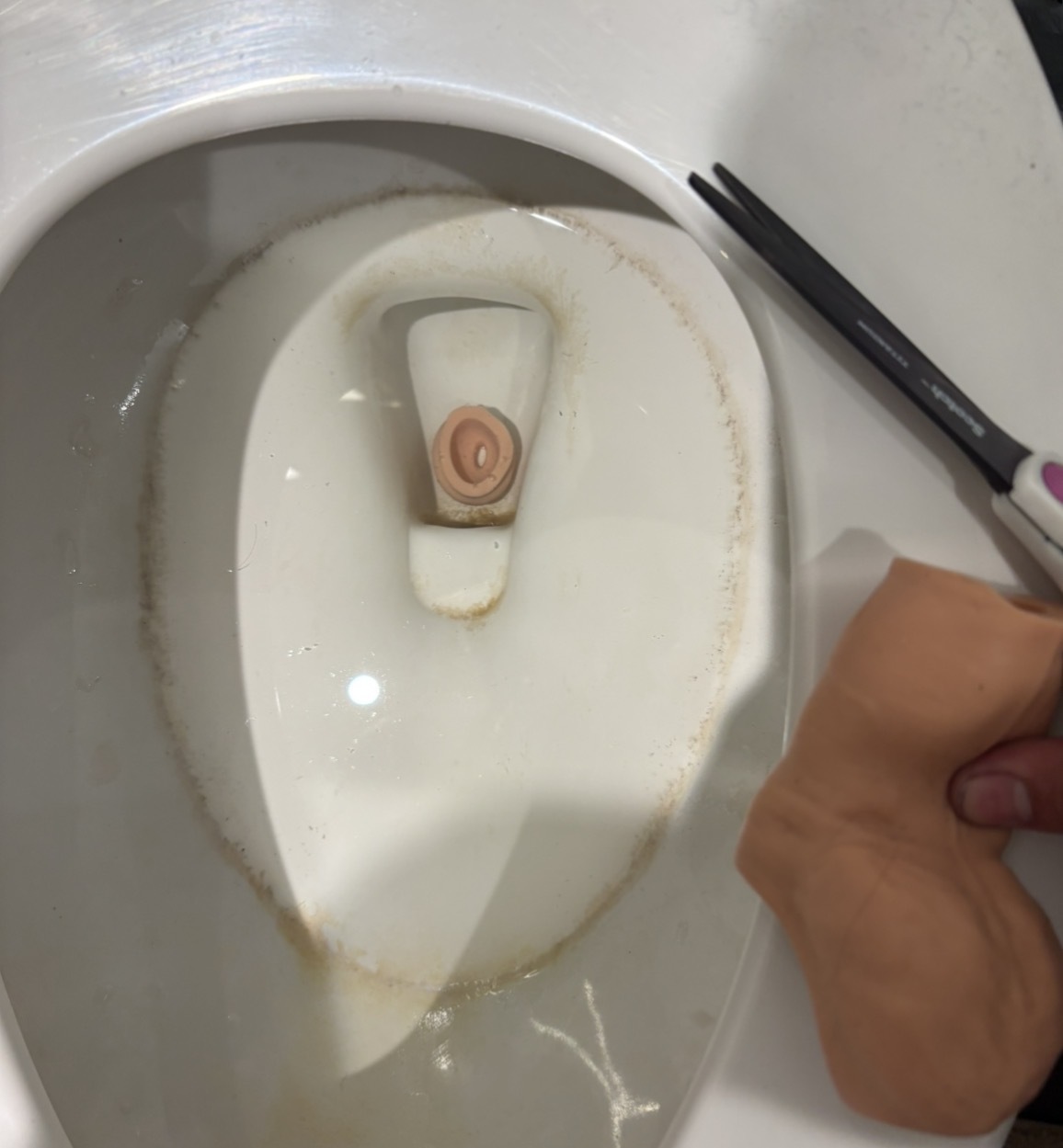 to a future of peeing sitting down