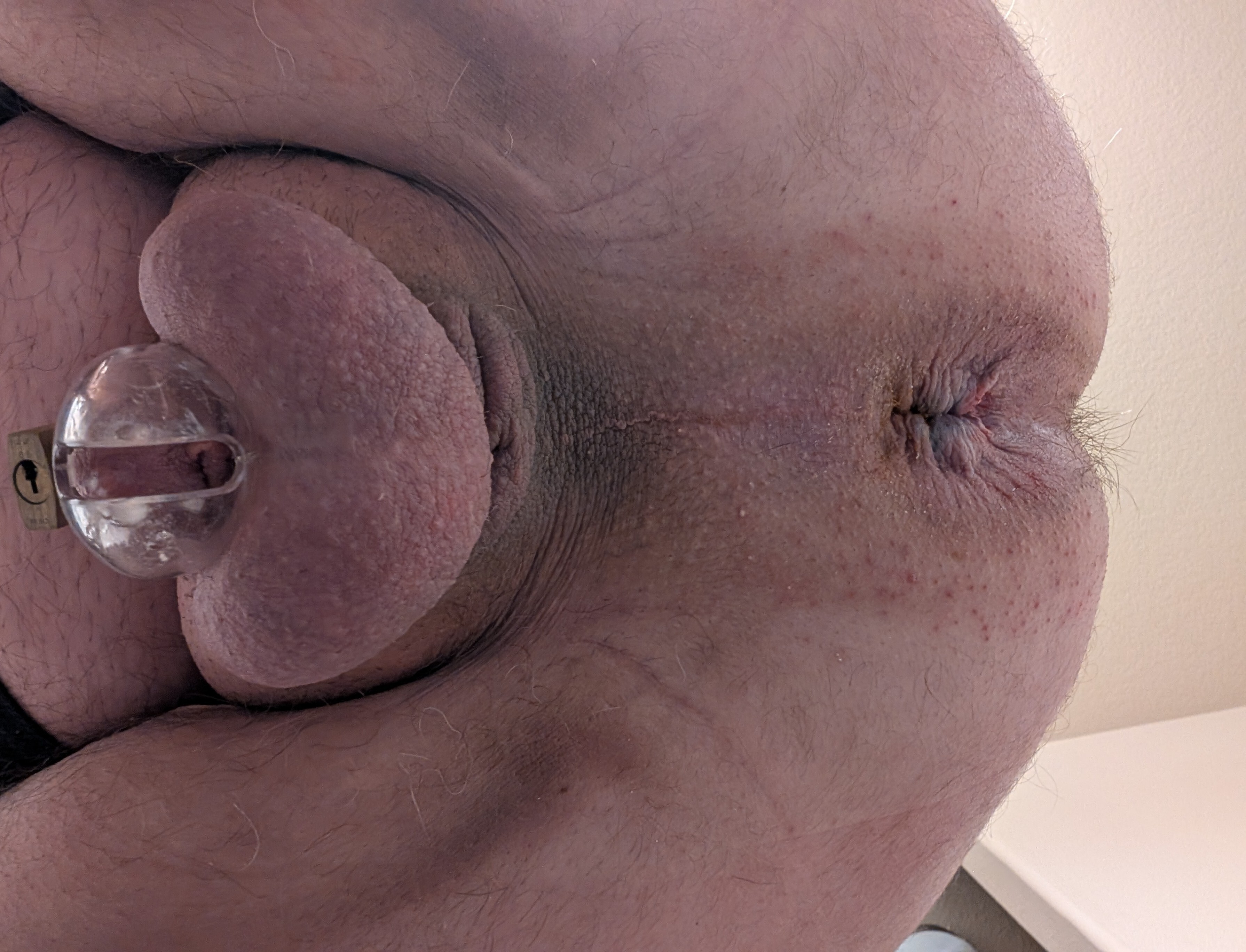 Hot Bussy