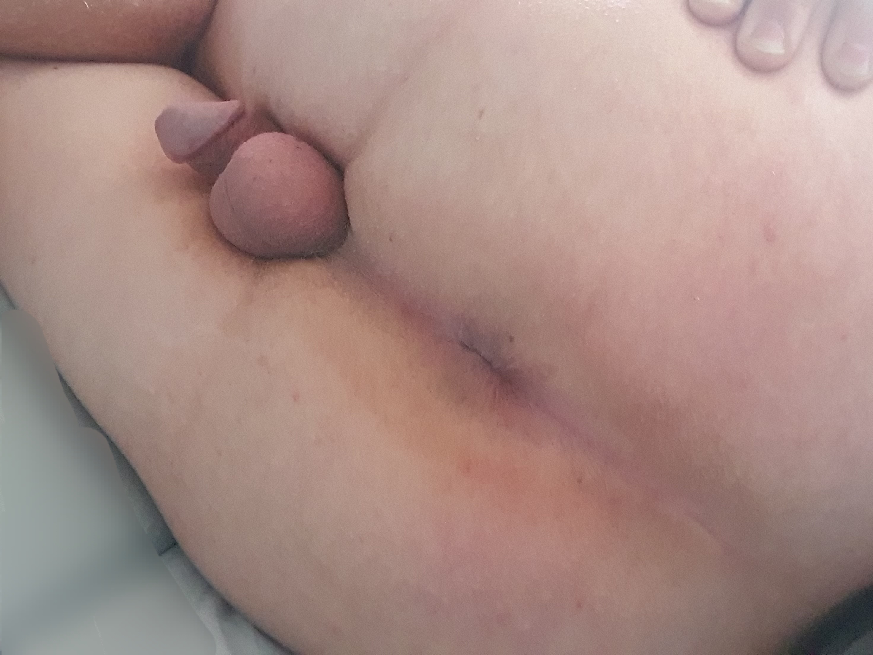 Does my ass need breeding?